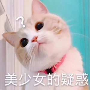 ​养猫好不好，原来是有“科学依据”的，你知道吗？