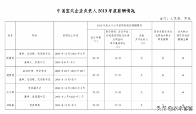 ​全球最大钢铁公司：宝武集团领导班子成员薪酬情况揭秘