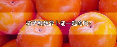 ​柿子和胡萝卜能一起吃吗?