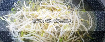 ​熟豆芽可以隔夜吃吗有毒吗 熟豆芽可以隔夜吃吗能吃吗