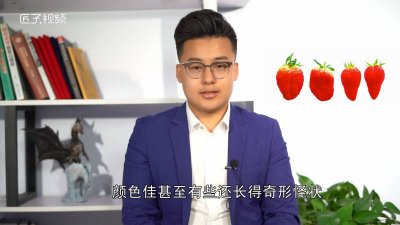 ​打激素的草莓有什么特点嘛 打了激素的草莓有什么特征