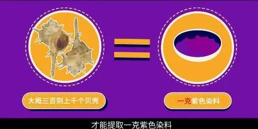 紫色本是富贵色，为何变成“基佬紫”？丨视知百科