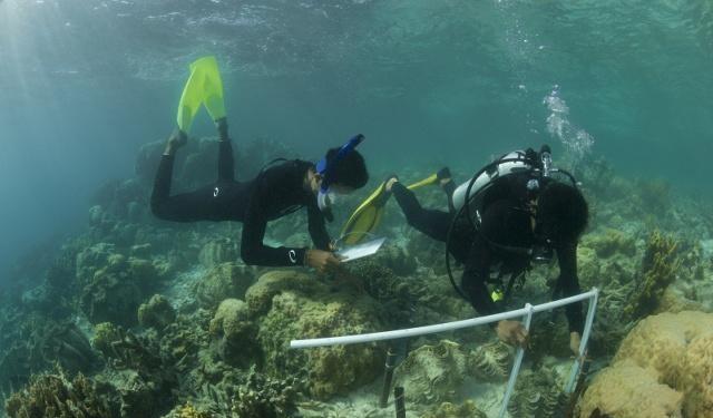 仙本那海岛游，自由行费用多少比较适合