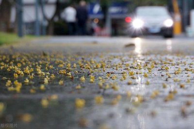 ​苏轼“一蓑烟雨任平生”的生活启示