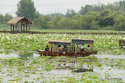 ​济宁十大避暑旅游景点，夏天旅游凉快的地方，周边一日游好去处