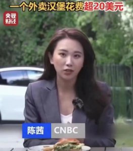 ​一个外卖汉堡超过20美元？央视美女记者陈茜被质疑造假，本人回应