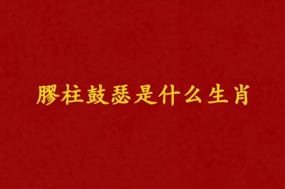 ​膠柱鼓瑟是什么生肖（膠柱鼓瑟打一生肖）